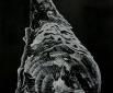 Während des Tauchgangs (2011), Kreidezeichnung, 100 x 50 cm, Photo: Wolf Leeb