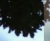 4 Variations on the rhythm of the wind, videostill