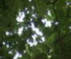 4 Variations on the rhythm of the wind, videostill