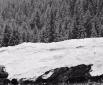 NEUSCHNEE, Videostill (2022)