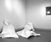 Covering the alps, digitale Zeichnung, Ausstellungsansicht, Neliö Galerie, FIN, 2020