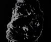 Während des Tauchgangs (2011), Kreidezeichnung,100 x 50 cm, Photo: Wolf Leeb