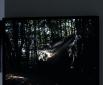 Unterm Stein (2011/12), Leuchtkasten, 50 x 70 cm , Photo: Wolf Leeb