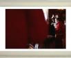 Luxury Tourism-Incognito, Fotografie (2010/2011)