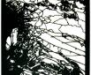 Schnee von gestern? Scherenschnitt 40 x 50, 2020